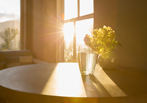 가이드 임플란트