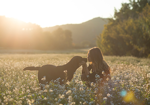 시린니충치치료